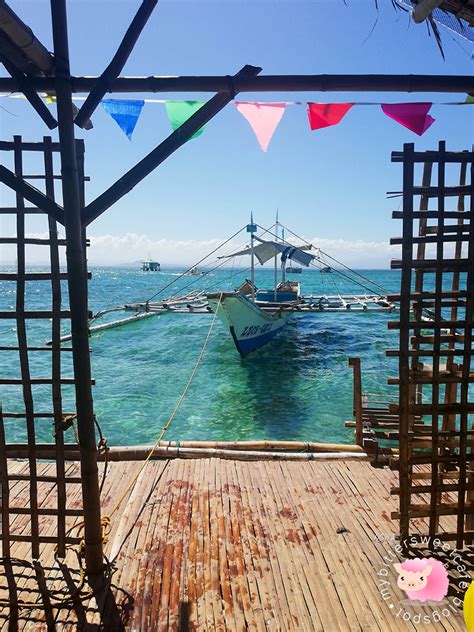 molocaboc island sagay city|My Bittersweet Cafe: Day Trip to Molocaboc Island in .